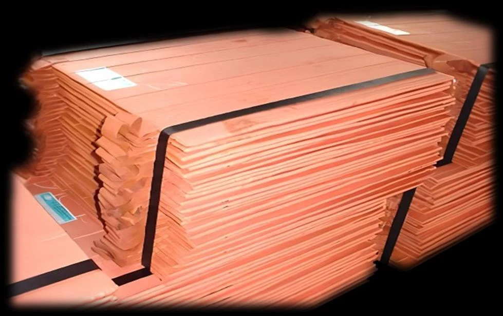 Plaques de cuivre de la gamme cathodes